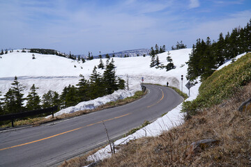 志賀草津高原ルートの雪の回廊