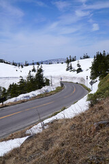 志賀草津高原ルートの雪の回廊