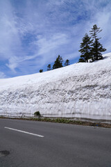 志賀草津高原ルートの雪の回廊