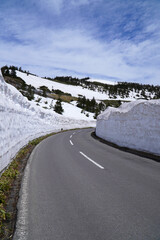 志賀草津高原ルートの雪の回廊
