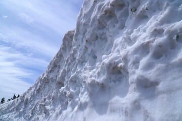 志賀草津高原ルートの雪の回廊
