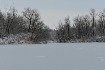 Trees covered with snow and icicles on frozen lake in winter foggy day