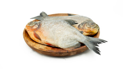 Roopchand fish or Red pomfret Fish isolated on white background.