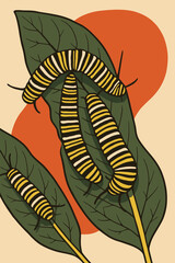 Caterpillar Illustration on Green Leaves with Orange Background Graphic