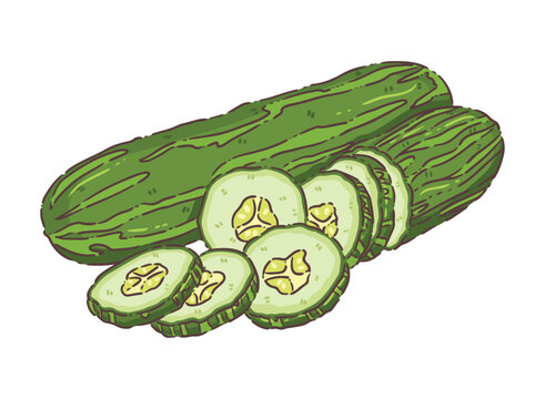 green cucumbers, whole and sliced, on white clip art preview