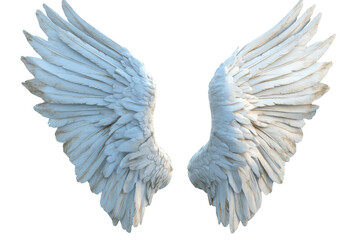 Fototapeta premium Majestic Wings Spread Wide on a Black Background for Flight and Fantasy Art