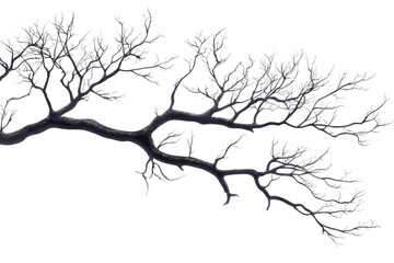 Obraz premium Abstract Tree Branches Against Dark Backdrop Creating Spooky Ambiance
