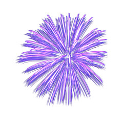 Obraz premium Fireworks 