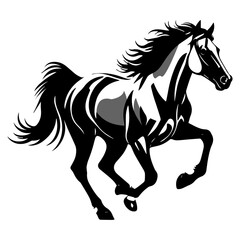 Majestic Stallion in Motion