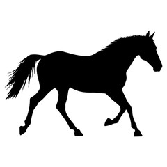 silhouette of a horse