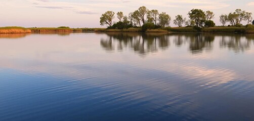Calm, reflective waters of the Vaccar&egrave;s pond, Camargue, France, flora, wetland