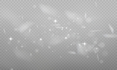 Golden Dust Light PNG.Light Effects Background. Glowing Christmas Dust Backdrop with Bokeh Confetti and Sparkle Overlay Texture, Ideal for Stock and Design Projects.
