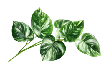 appreciate green leaves, vibrant shades on plant foliage art design