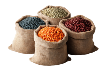 Set of six burlap sacks with assorted colorful legumes, isolated on transparent background