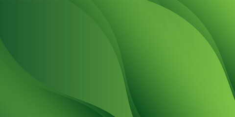 Abstract green wavy background. Vector