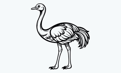Ostrich silhouette, Ostrich silhouette vector, emu bird black silhouette