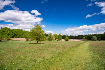 Forest Arboretum in Stradomia Dolna, Poland.