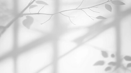 Abstract shadow of leaves on transparent background with soft light through window blinds, window shade. Mockup of transparent shadow overlay. Gray shadow on isolated background. Sun light backdrop