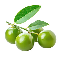 Fresh Kakadu Plum Fruit Isolated on White Background