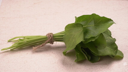 Bundle of fresh spinach isolated on wooden background. Vegan food lifestyle concept, Copy space.
