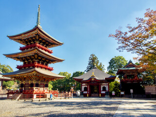 Naklejka premium Naritasan Shinshoji Temple near Tokyo Narita Airport