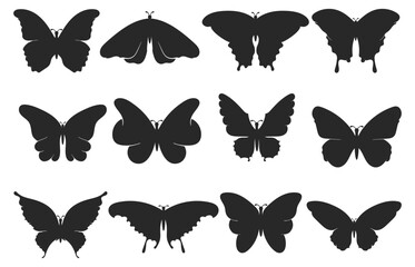 collection of butterflies