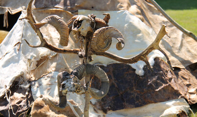 Symbolic Bones and Skulls Outside a Vintage Wigwam Tent.