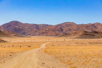 Arid landscape in the Richtersveld National Park