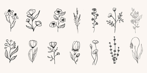 Wild forest herbs and flowers vintage textured chalk drawing sketch. Line grass retro flora silhouette. Crayon doodle hand drawn