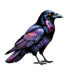 Fototapeta premium Vibrant Crow Illustration, Purple Feathers, Transparent Background