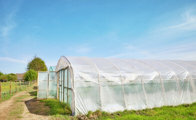 Polytunnels on an organic farm against the blue sky.