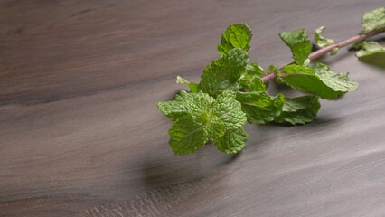 Ginger root vegetables and fresh mint leaves Concept health diet.  © Raksha Shelare