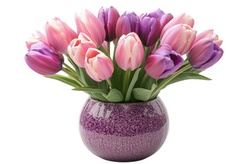 Fototapeta premium Elegant Pink and Violet Tulips in a Vase: Spring Bloom Beauty plant image fresh pretty nature floral on transparent background
