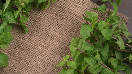 Ginger root vegetables and fresh mint leaves Concept health diet.
