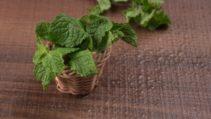 Ginger root vegetables and fresh mint leaves Concept health diet.
