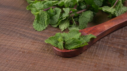 Ginger root vegetables and fresh mint leaves Concept health diet.
