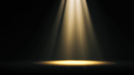 Golden spotlight illuminates a clean black background creating a dramatic and elegant atmosphere
