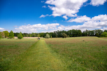 Obraz premium Forest Arboretum in Stradomia Dolna, Poland.