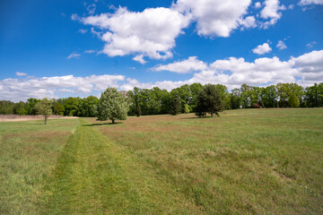 Forest Arboretum in Stradomia Dolna, Poland.