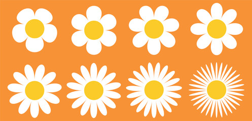 Camomile icon set. White daisy chamomile. Cute round flower plant collection. Growing concept. 
