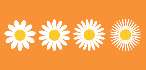 Camomile icon set. White daisy chamomile. Cute round flower plant collection. Growing concept. 