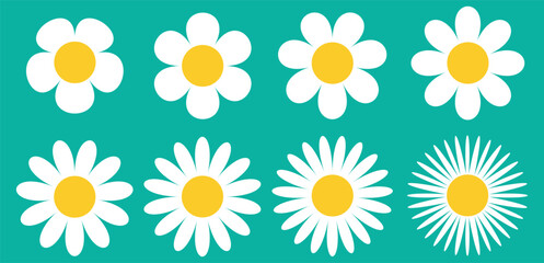 Camomile icon set. White daisy chamomile. Cute round flower plant collection. Growing concept. 
