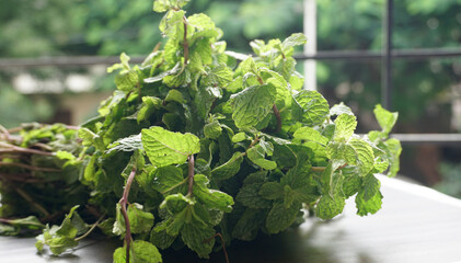Ginger root vegetables and fresh mint leaves Concept health diet.
