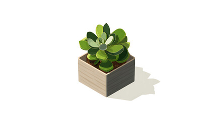 Succulent in Wooden Planter: A meticulously captured succulent plant in a simple wooden planter, a perfect representation of nature's elegance and home decoration, bathed in soft natural light.