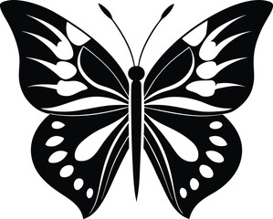 Butterfly silhouette isolated on white background