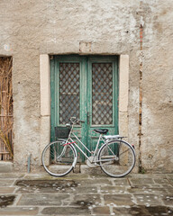 A silver bicycle with a basket leans against an old green wooden door with lattice inserts.