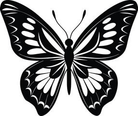 Butterfly silhouette isolated on white background