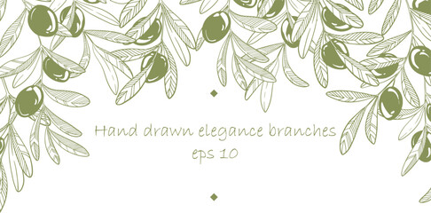 Hand drawn vector frame of olive branches isolated.