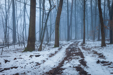 A dirt road through a misty and snowy forest