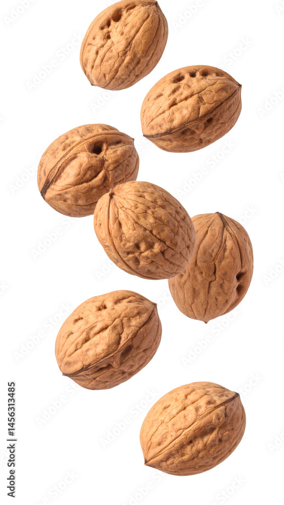 Poster multiple walnuts falling on transparent background